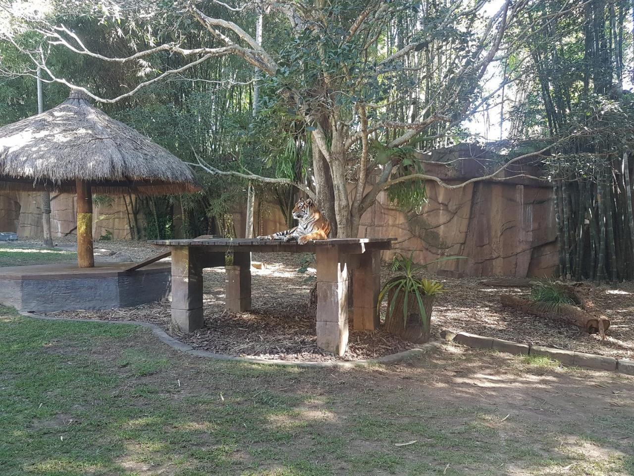Beerwah House Villa Exteriör bild